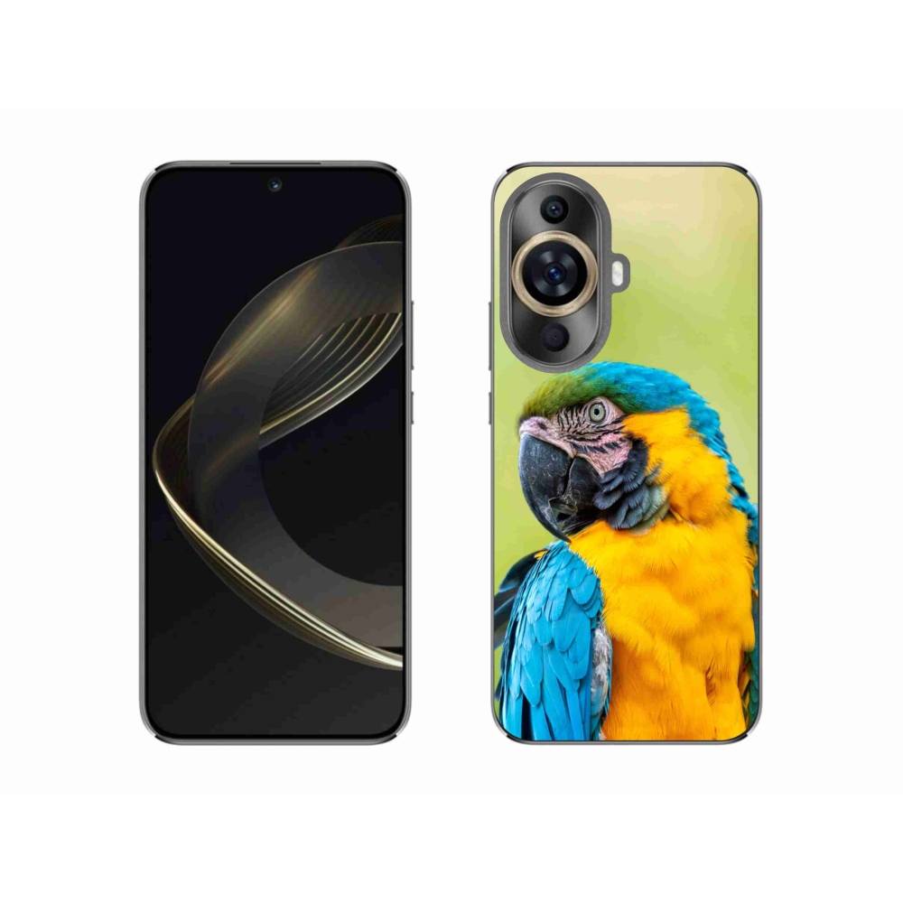 Gél tok mmCase a Huawei Nova 11 készülékhez - papagáj ara 2