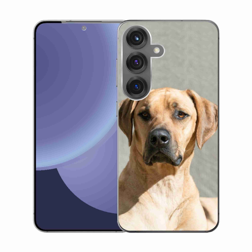 Zselés borítás mmCase Samsung Galaxy S25 készülékhez - ridgeback