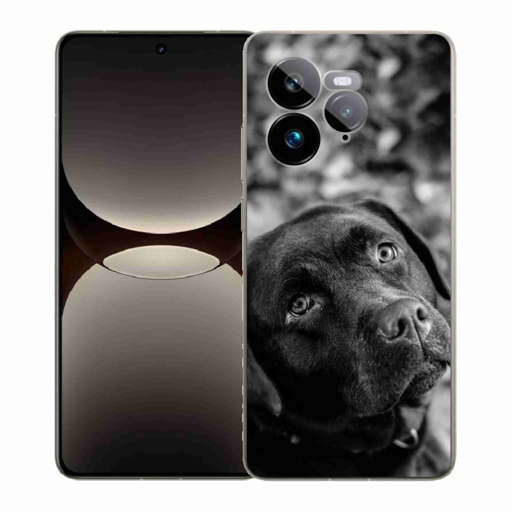 Gél borítás mmCase a Realme GT 7 Pro 5G készülékhez - labrador