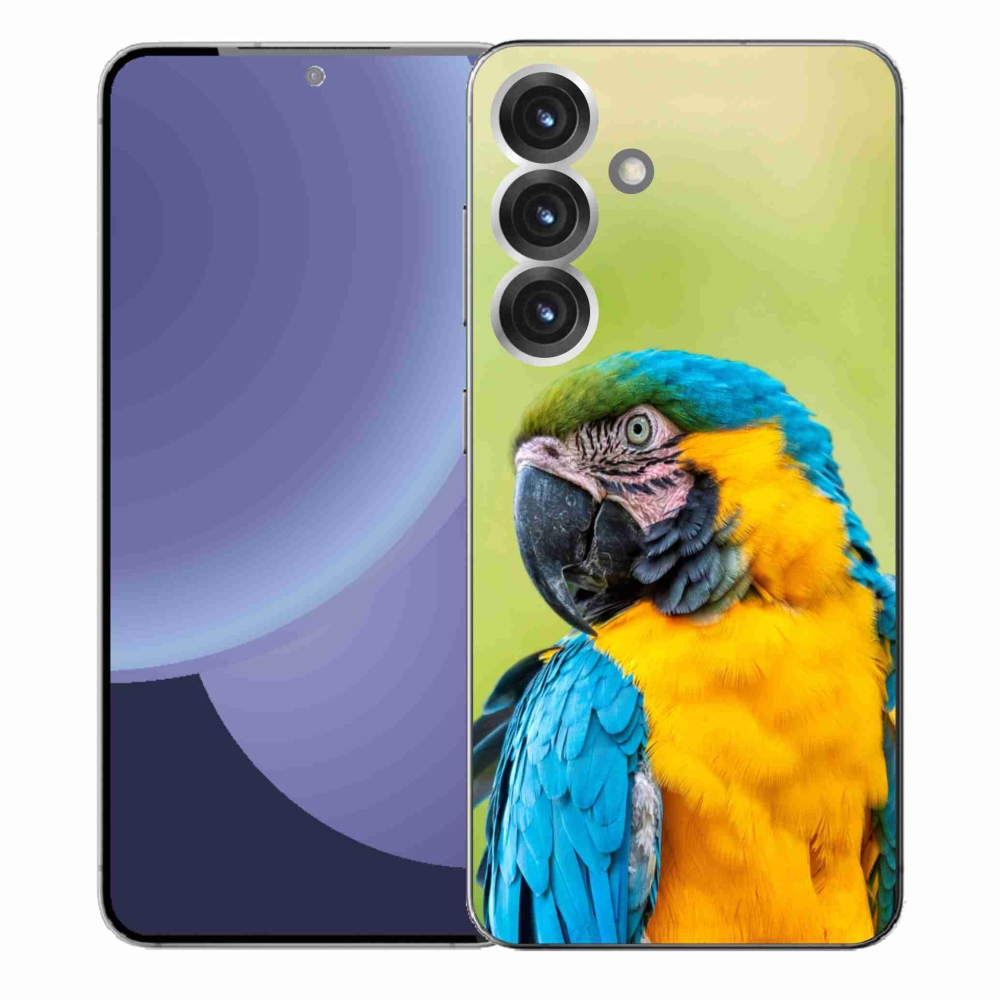 Gél borítás mmCase Samsung Galaxy S25+ készülékhez - papagáj ara 2