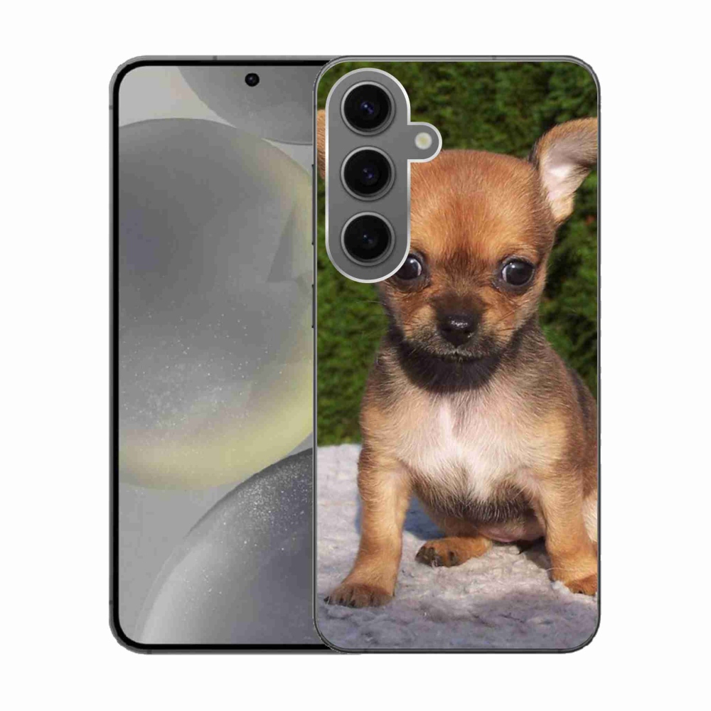 Gél tok mmCase Samsung Galaxy S24 készülékhez - chihuahua 3