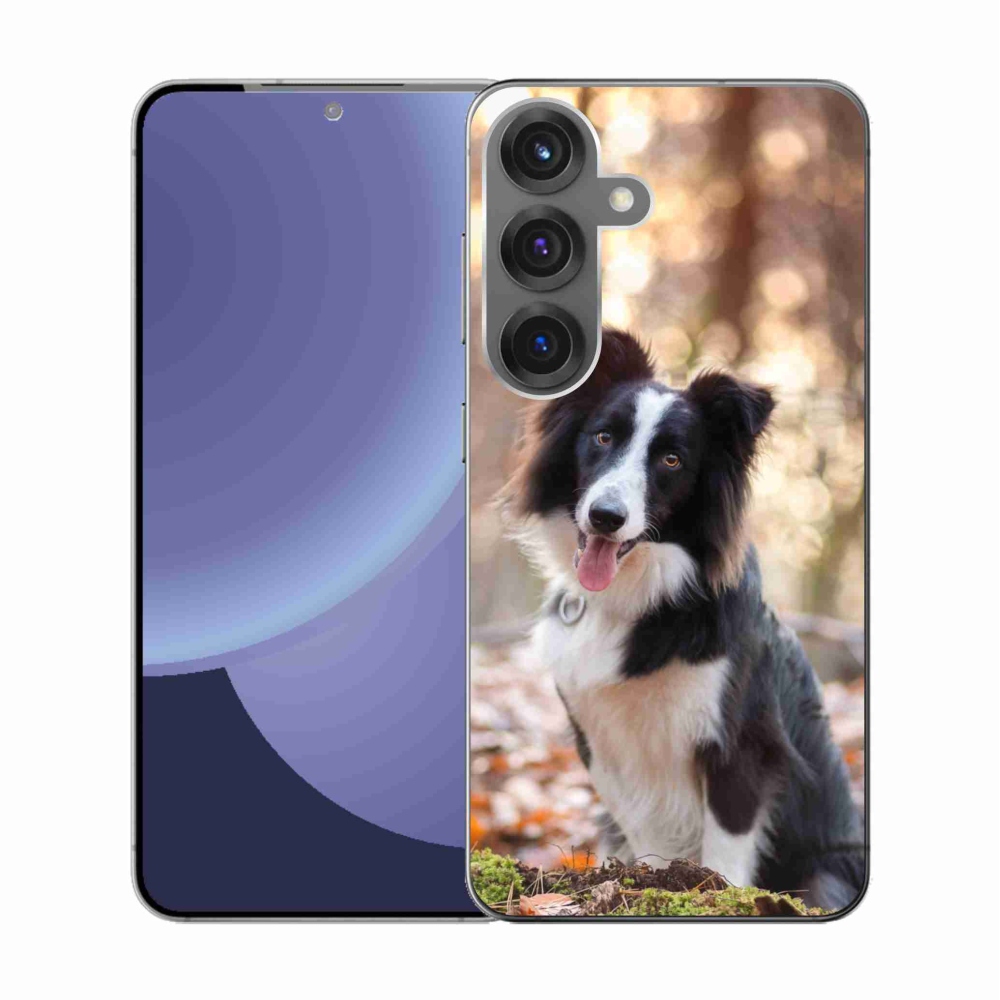 Gél borító mmCase Samsung Galaxy S25 - border colie 1