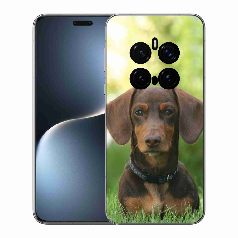 Zselés borítás mmCase a Honor Magic 7 Pro 5G készülékhez - barna tacskó