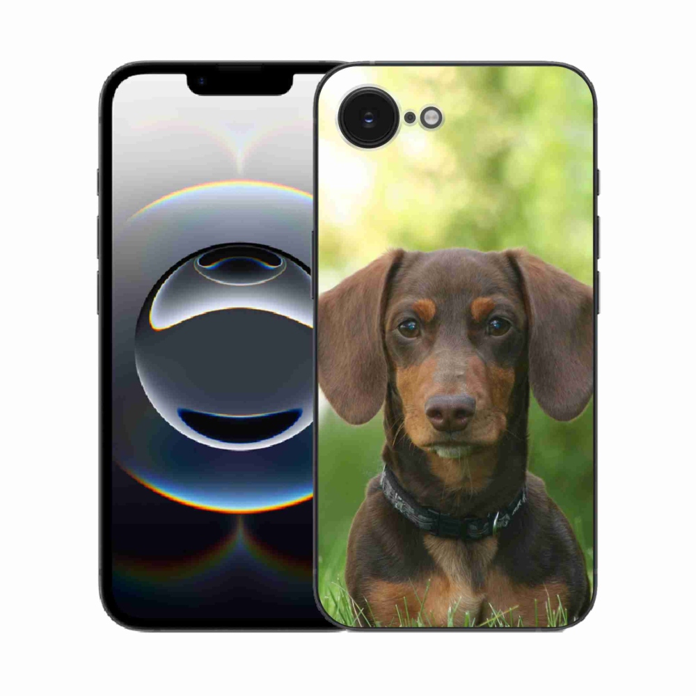 Zselés borítás mmCase iPhone 16e készülékhez - barna tacskó