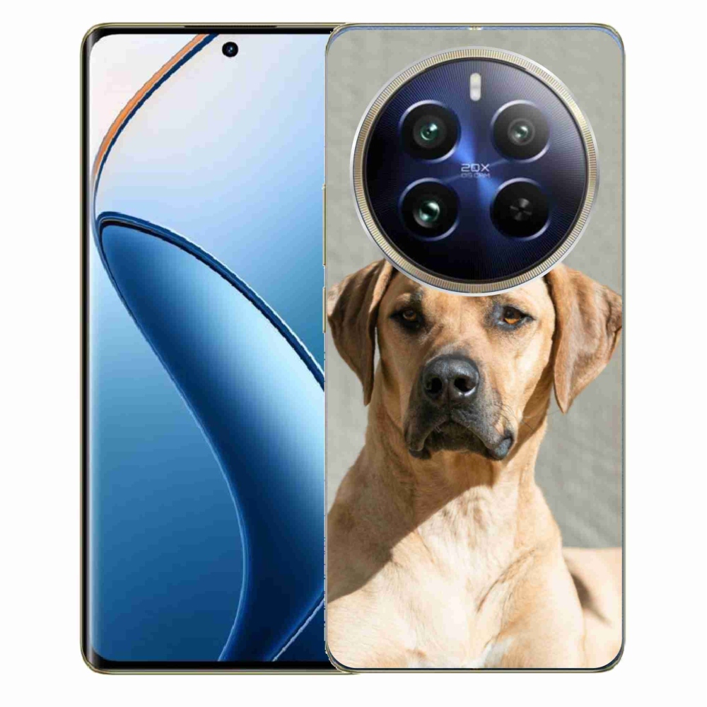 Gél borítás mmCase a Realme 12 Pro 5G/12 Pro+ 5G számára - ridgeback