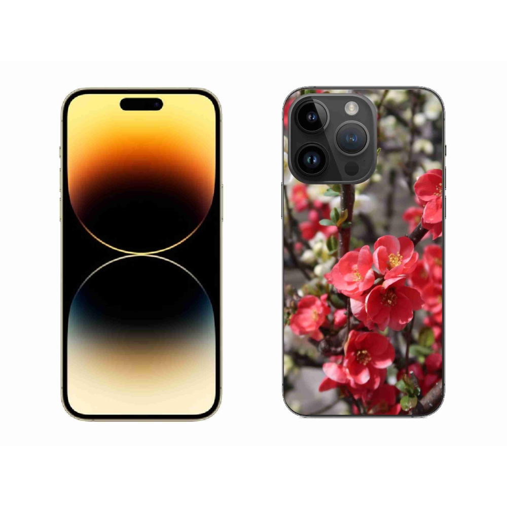 Gél borítás mmCase iPhone 14 Pro Max készülékhez - piros virágok