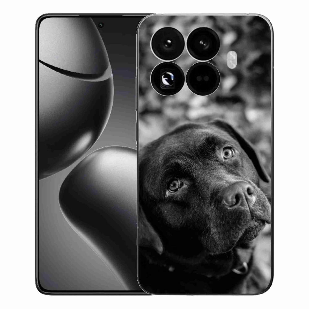 Gél borítás mmCase a Xiaomi 15T Pro-hoz - labrador