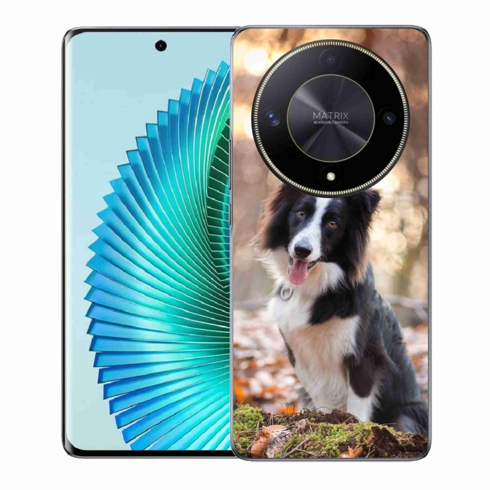 Gél tok mmCase a Honor Magic 6 Lite 5G számára - border colie 1