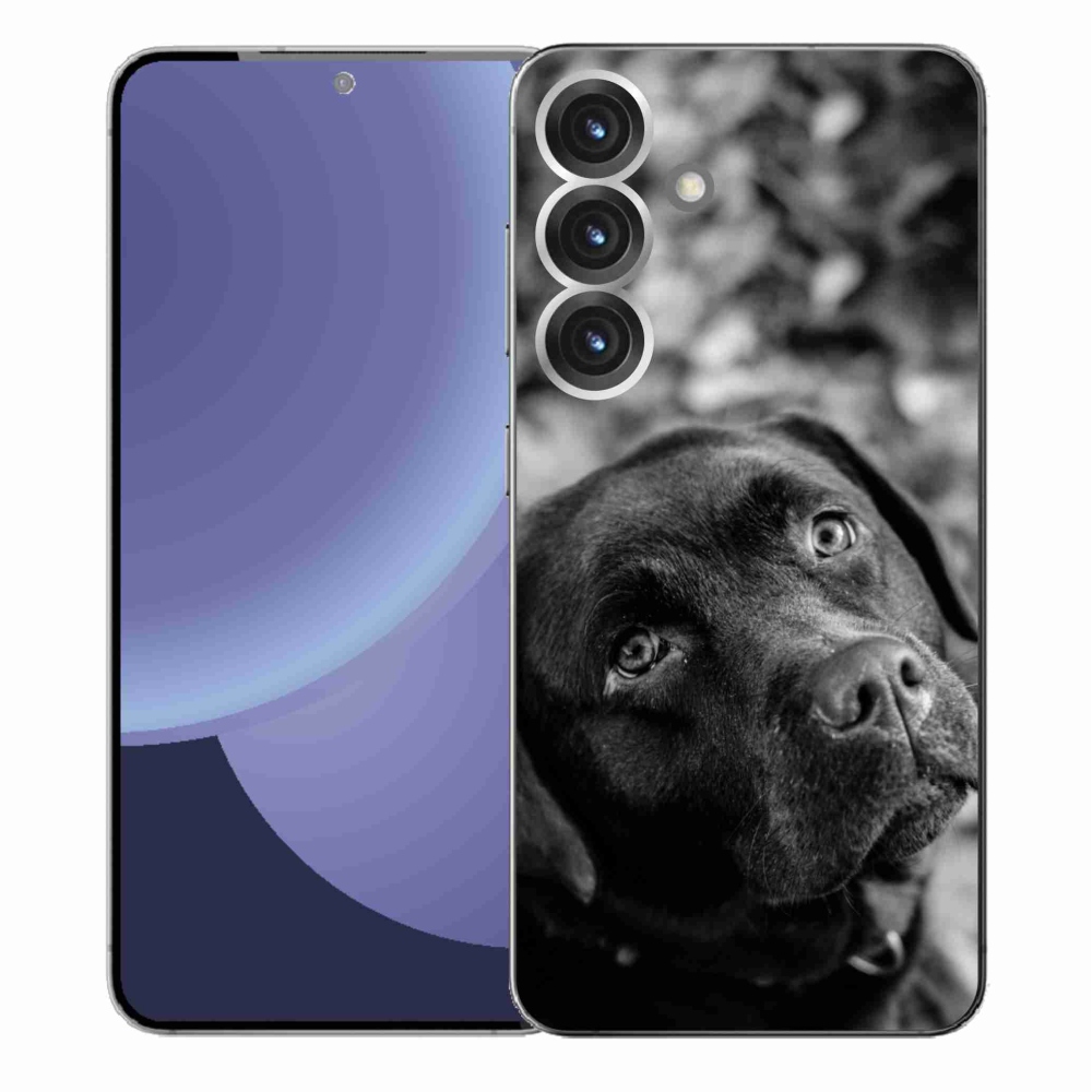 Gél védőhuzat mmCase Samsung Galaxy S25+ - labrador