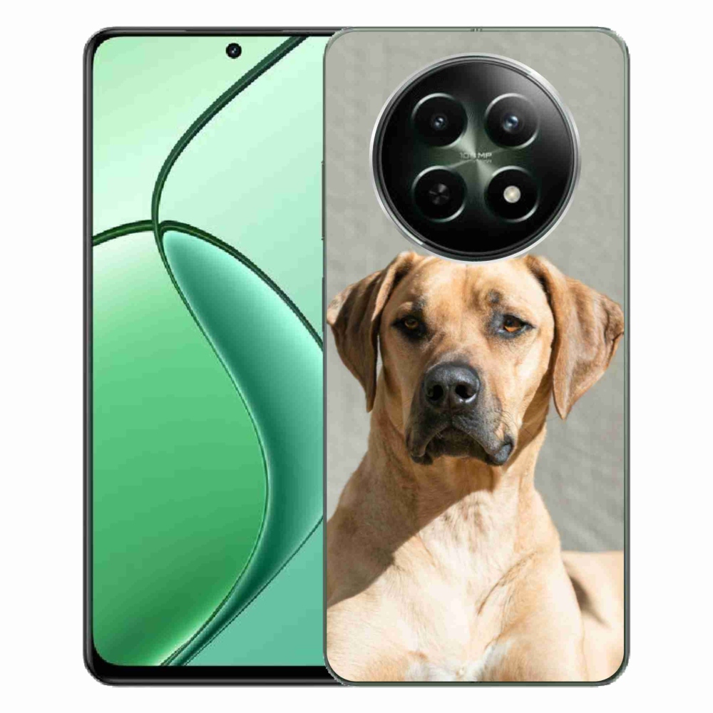 Gél borítás mmCase a Realme 12 5G/12x 5G készülékhez - ridgeback