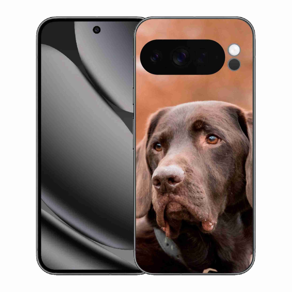Zselés borítás mmCase a Google Pixel 10 Pro XL-hez - barna labrador