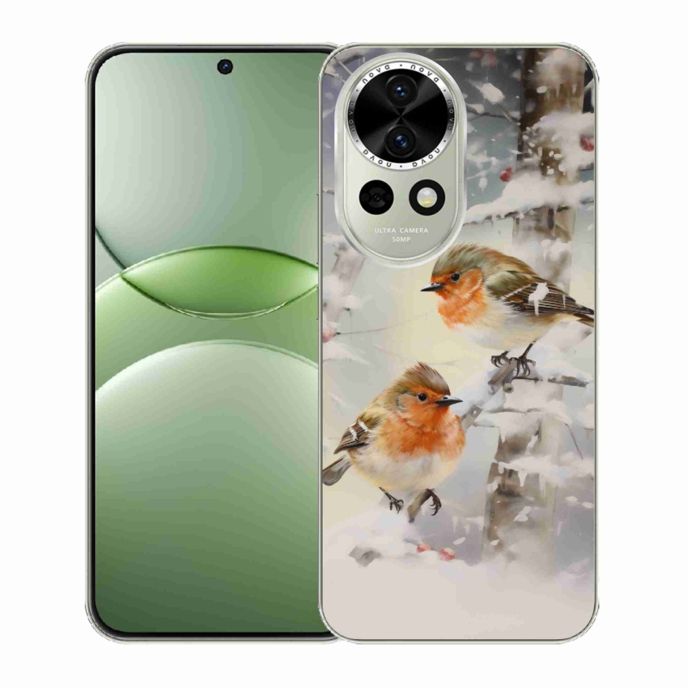 Gél borítás mmCase a Huawei Nova 13 5G számára - madarak télen