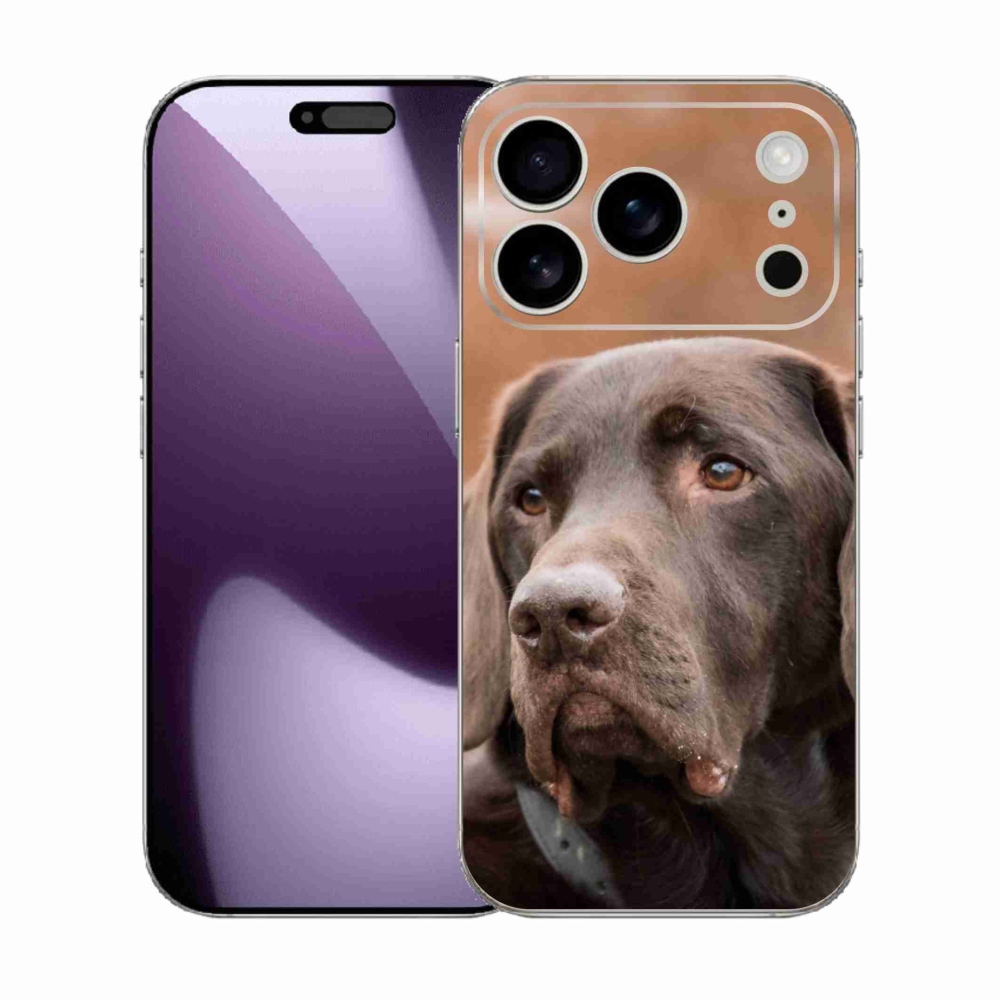 Zselés borítás mmCase iPhone 17 Pro készülékhez - barna labrador