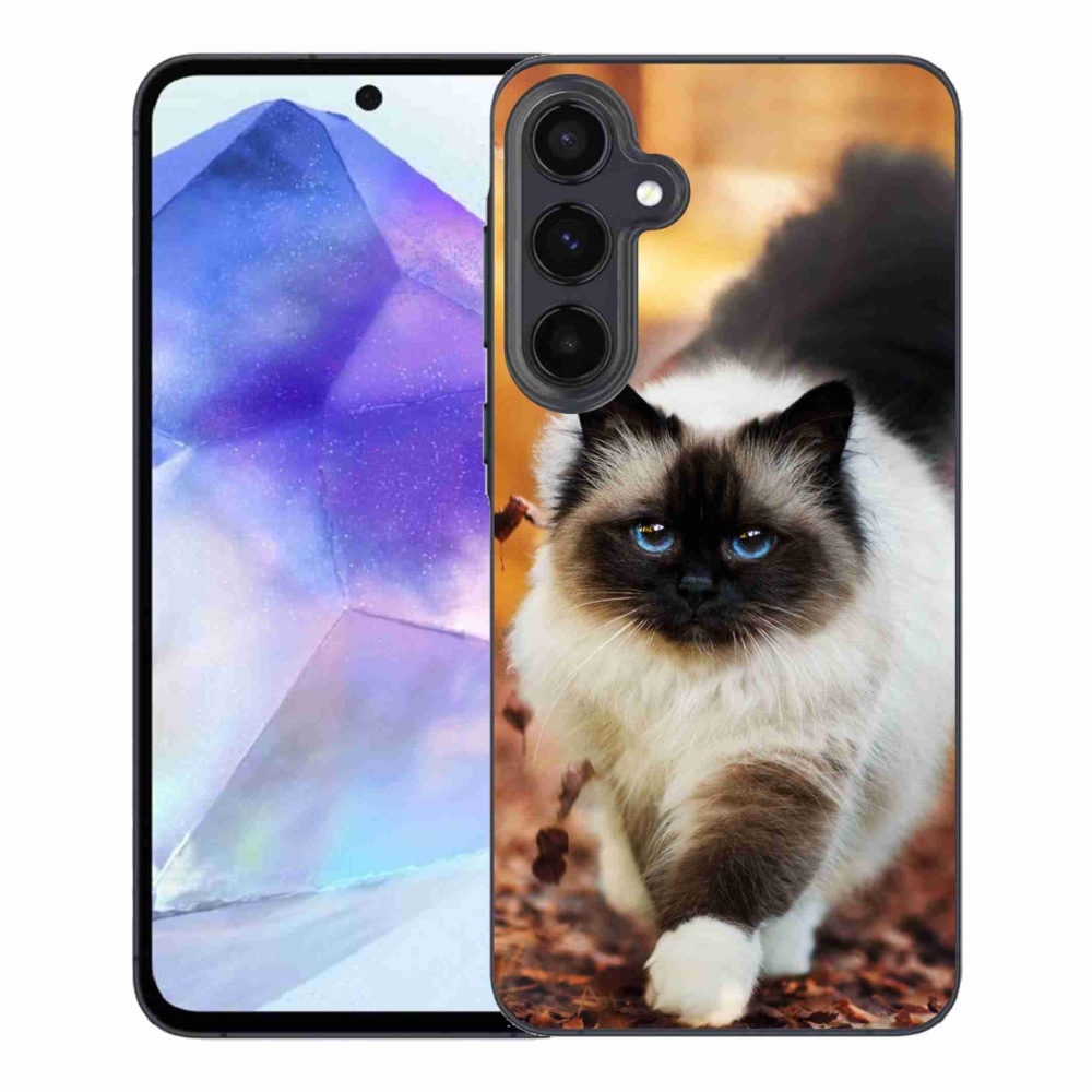Gél tok mmCase a Samsung Galaxy A55 5G készülékhez - macska