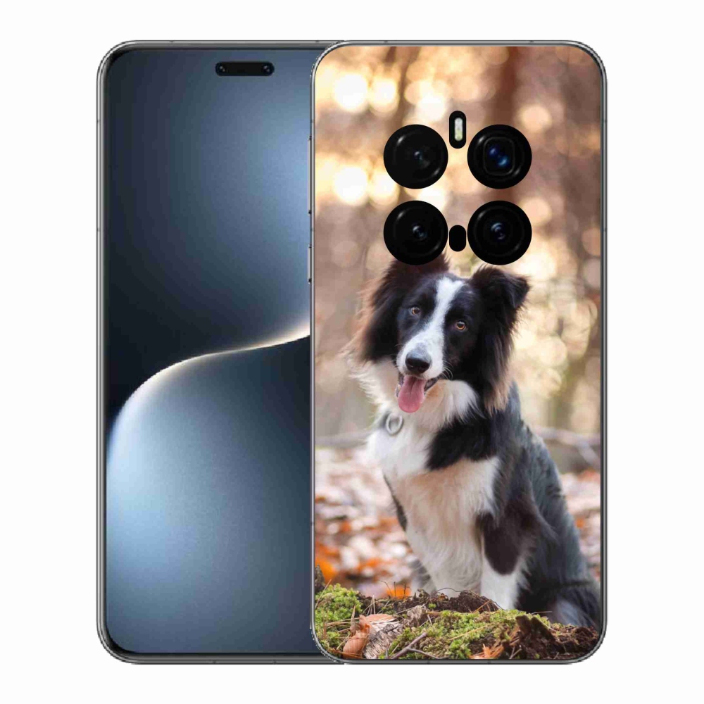 Gél borítás mmCase a Honor Magic 7 Pro 5G készülékhez - border collie 1