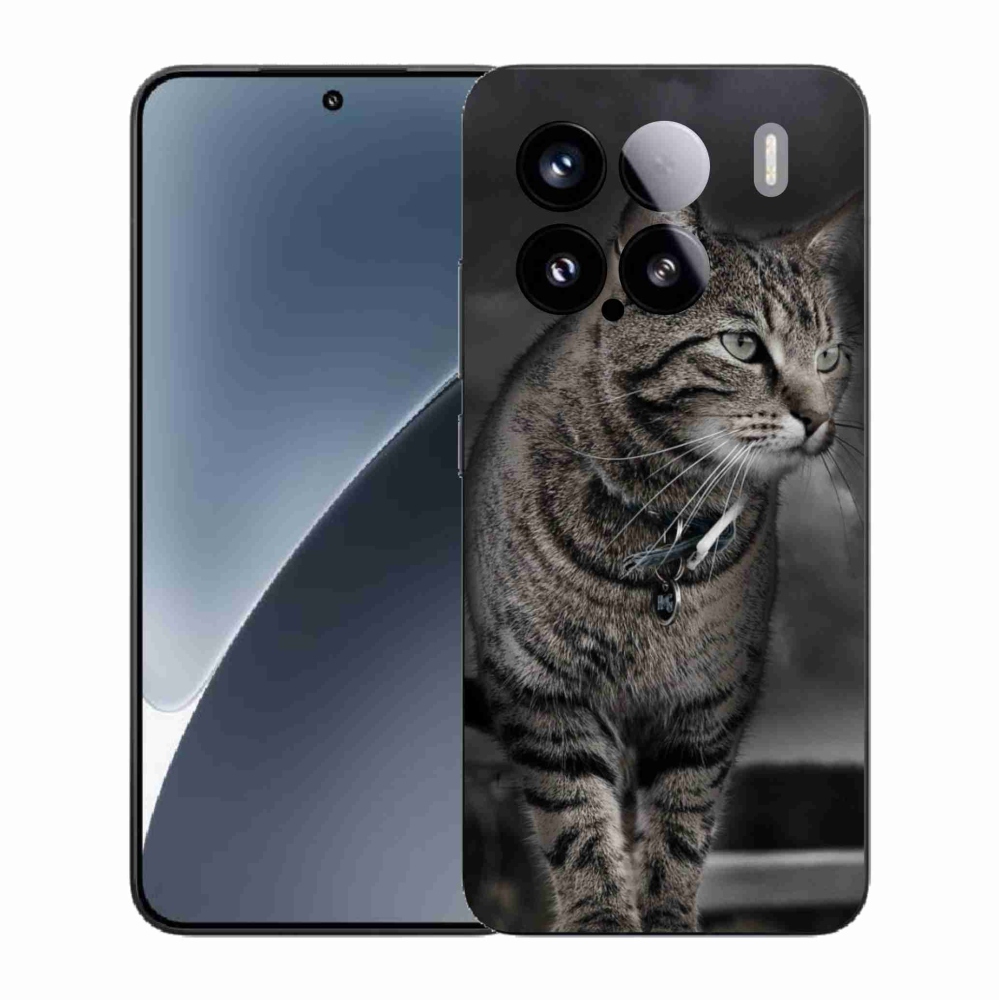 Gél borítás mmCase a Xiaomi 15 - macska számára